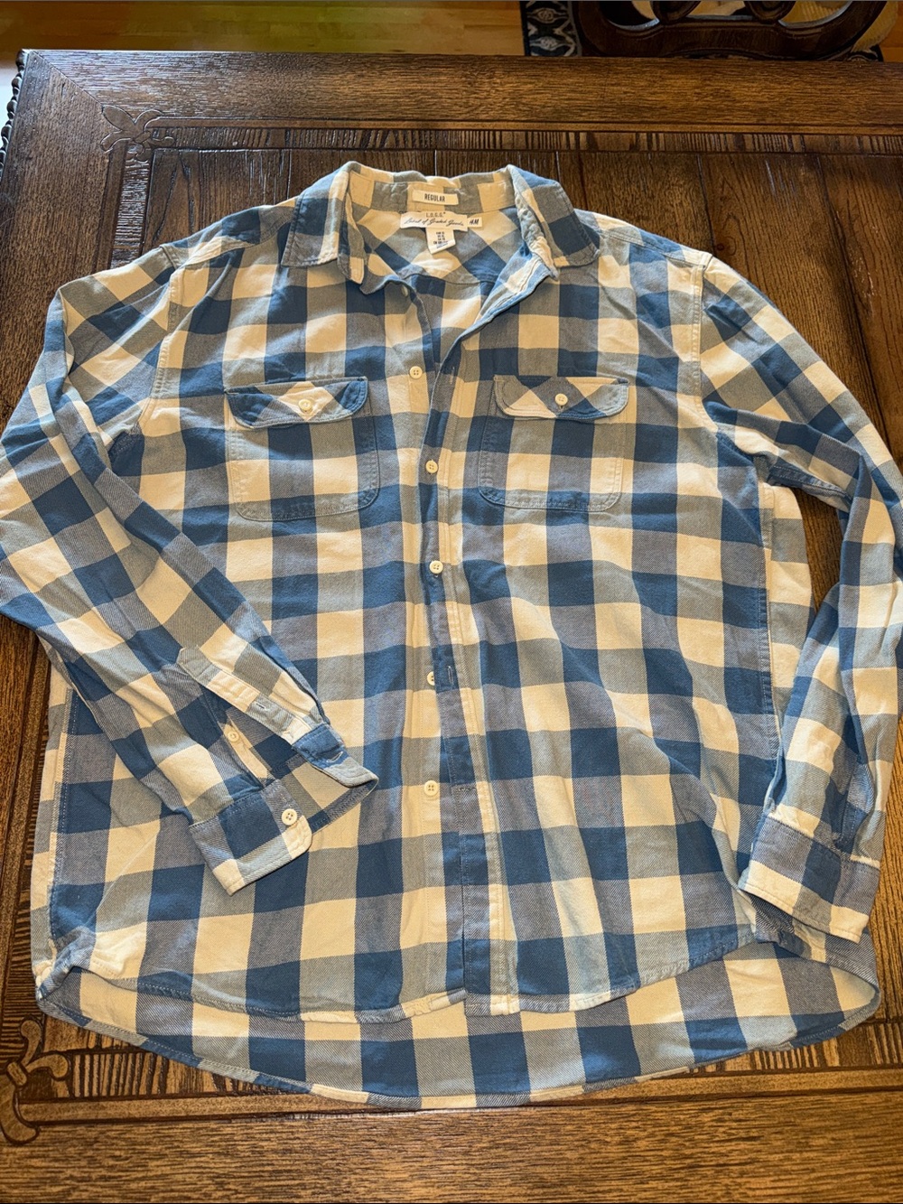 H&M Blue and White Plaid Button-Down Shirt